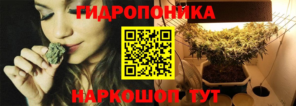 Санкт-Петербург  Шишки марихуана Amnesia  Канабис семена  Марихуана планчик  Вход с VPN  Канабис AK-47 